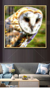 PSD不分层猫头鹰装饰画 高效素材与网络科技公司的创意融合