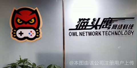 成都猫头鹰网络科技 以技术创新点亮数字未来